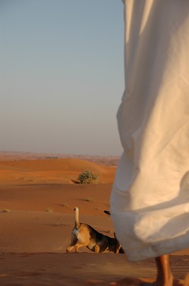 e0066474_4164865.jpg