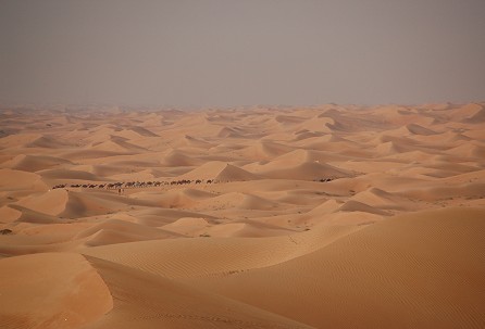 e0066474_5171350.jpg