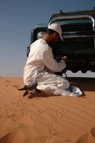 e0066474_5191082.jpg