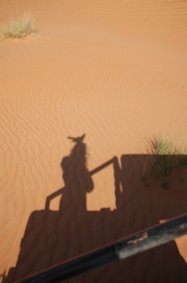 e0066474_523596.jpg