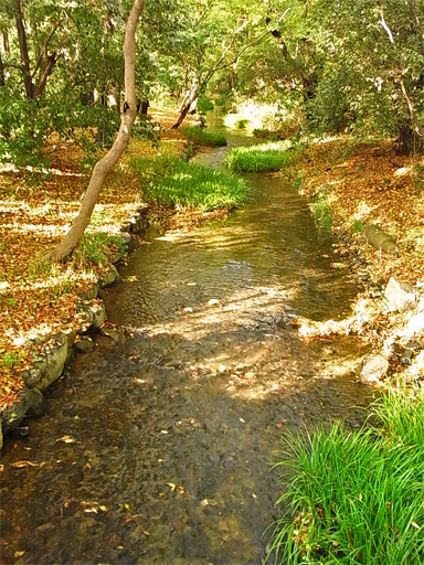 f0089079_3115289.jpg