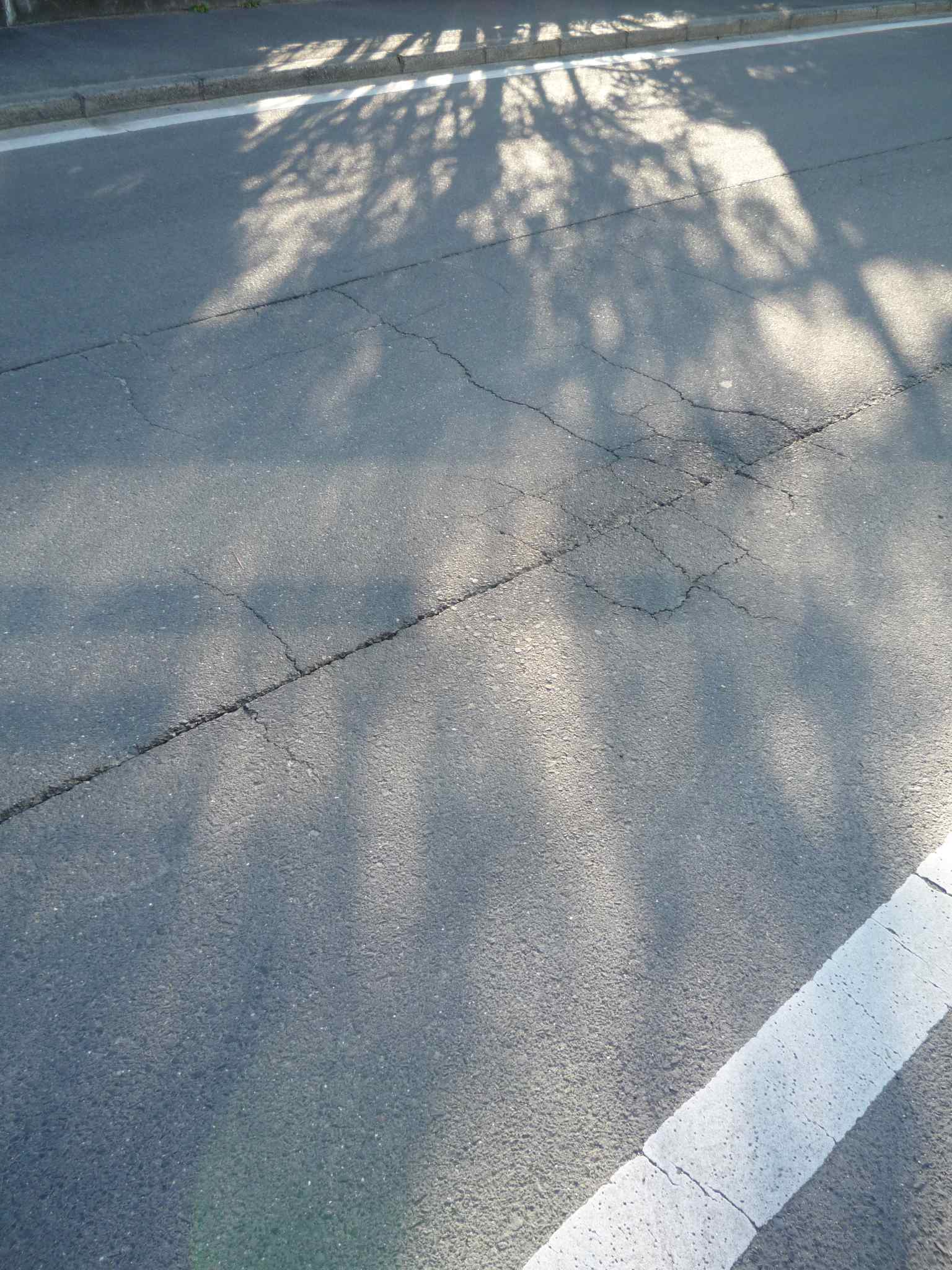 f0190781_0194396.jpg