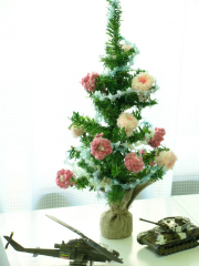 b0138882_1425947.jpg