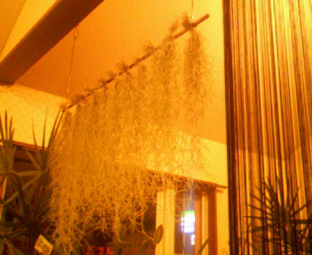 c0059383_21573863.jpg