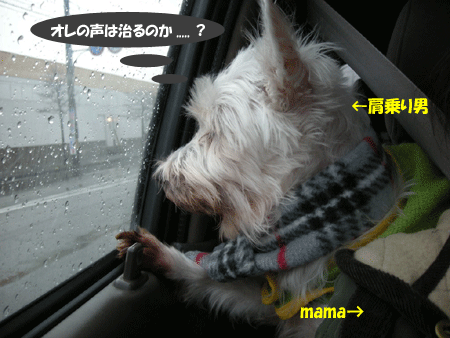 e0066883_19463243.gif