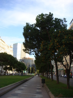 b0131786_5324275.jpg