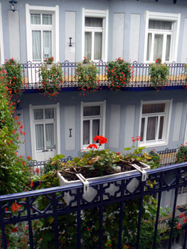 b0014587_9381229.jpg