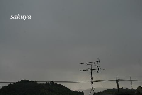 e0122194_20373965.jpg