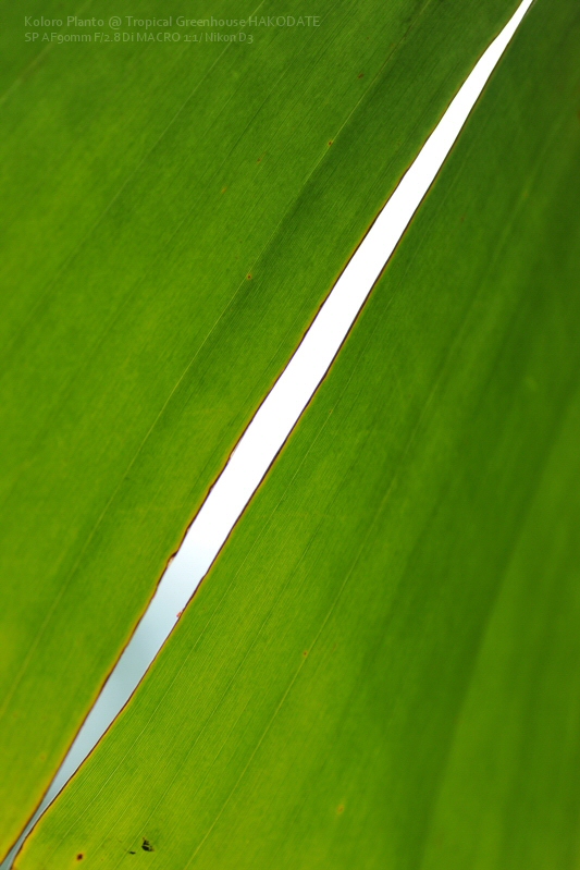 a0062697_227245.jpg