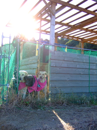 f0001698_2232104.jpg