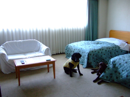 f0001698_22342961.jpg