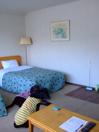 f0001698_2242115.jpg