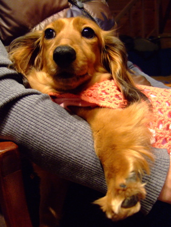 f0001698_2255533.jpg