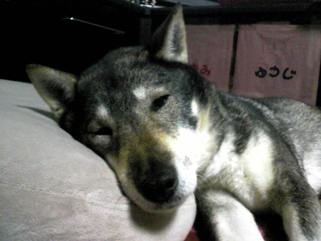 f0079202_1741417.jpg