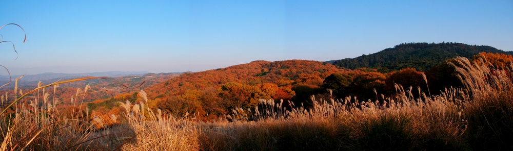 c0043403_2271691.jpg