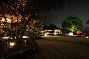 c0093205_1383016.jpg