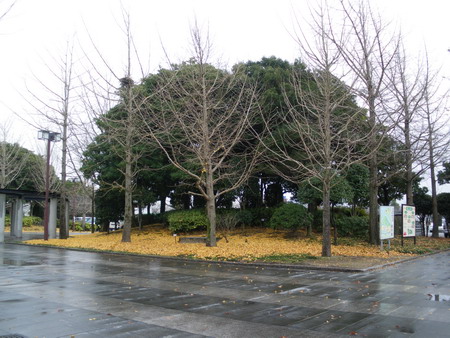 b0052108_0154318.jpg