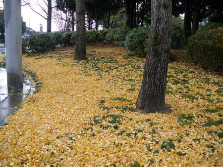 b0052108_0495569.jpg
