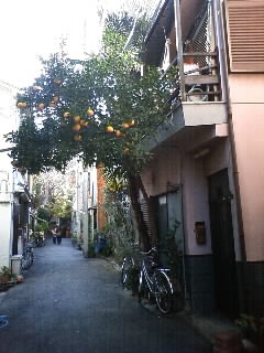 b0021311_23273561.jpg
