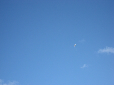 d0077811_13491850.jpg
