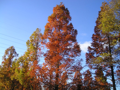 a0019212_9131950.jpg