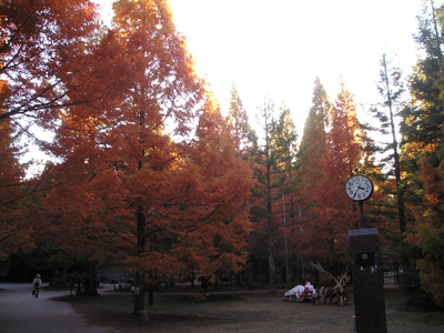 a0019212_9141780.jpg