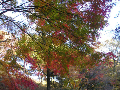 a0019212_9232550.jpg