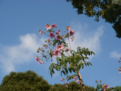 a0019212_9332044.jpg