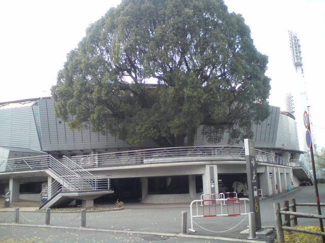 e0033613_803755.jpg