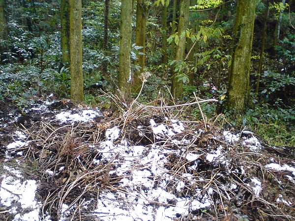 e0002314_16302243.jpg