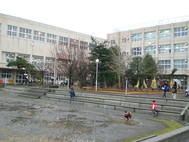 a0108616_206487.jpg