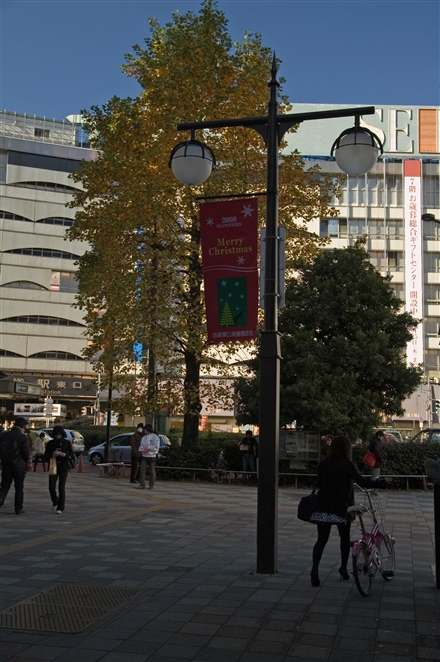 f0040525_1852820.jpg