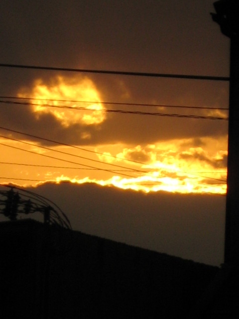 d0147727_8124367.jpg