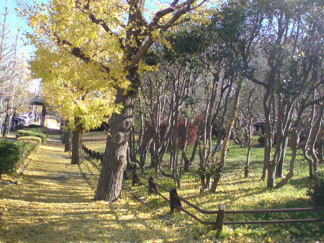 e0016828_16223184.jpg