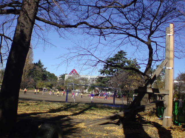 e0016828_1643575.jpg