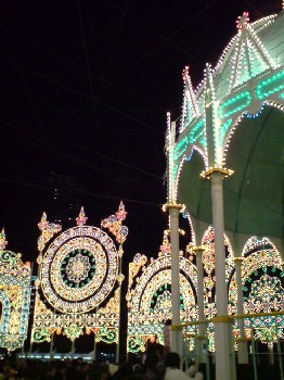 b0004229_1155680.jpg