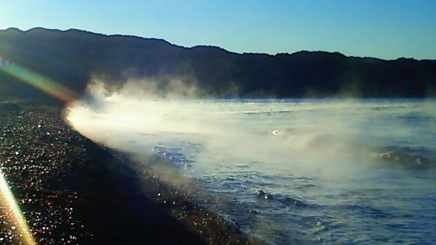 b0145733_16531445.jpg