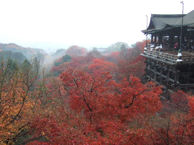 e0064133_231593.jpg