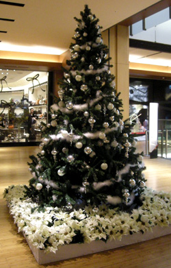 b0035734_20505935.jpg