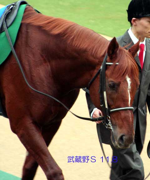 a0009035_16132919.jpg