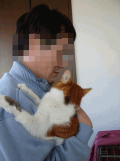 c0136736_20111560.gif