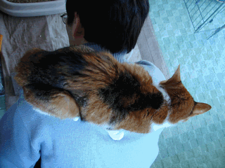 c0136736_2012376.gif