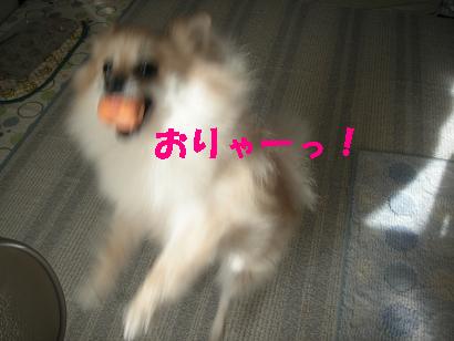 c0179136_426139.jpg