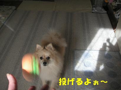 c0179136_426275.jpg