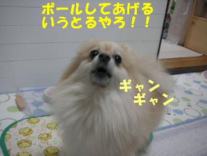 c0179136_523520.jpg