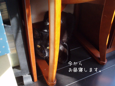 c0132438_223153.jpg