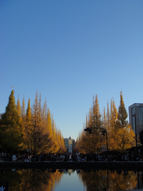 a0046339_22594766.jpg