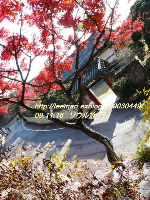 d0020443_22481869.jpg