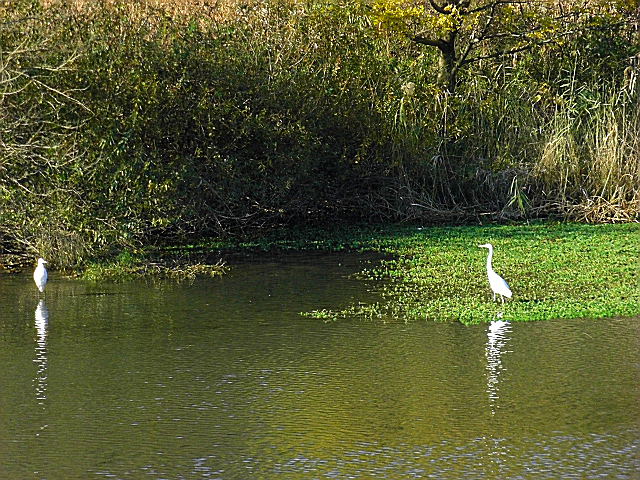 b0088444_2235887.jpg