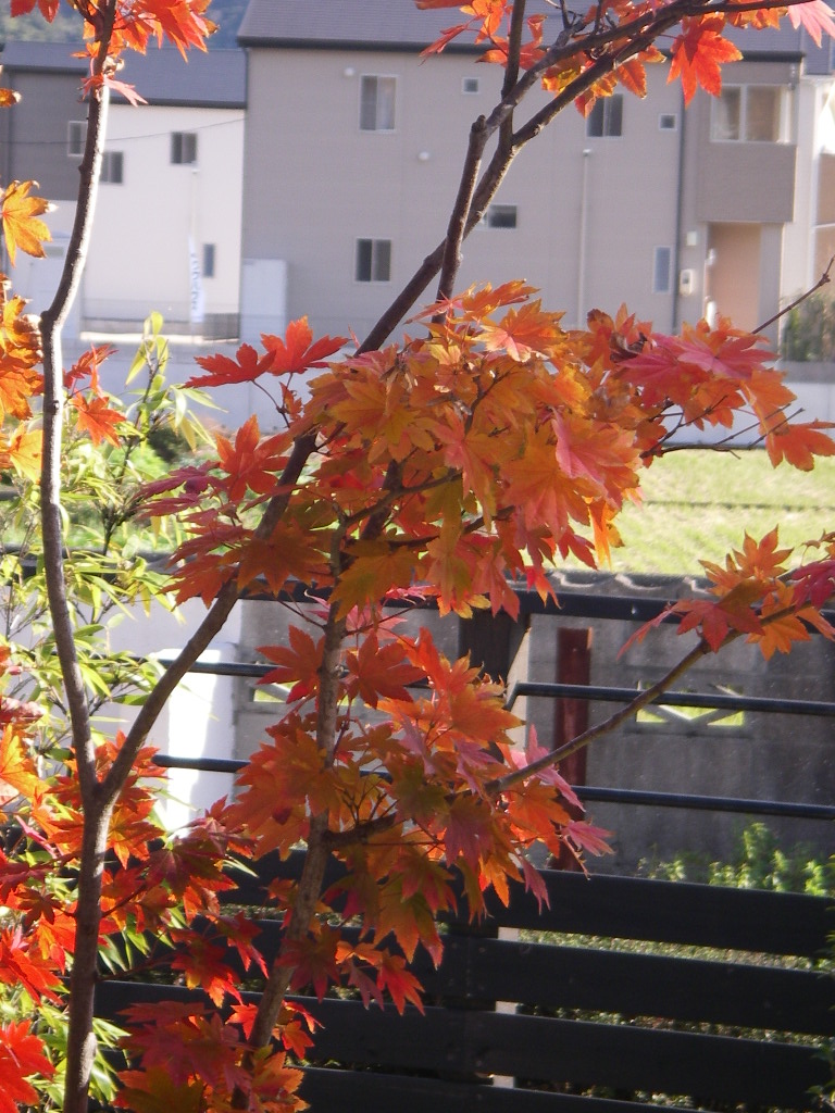 c0134645_201677.jpg